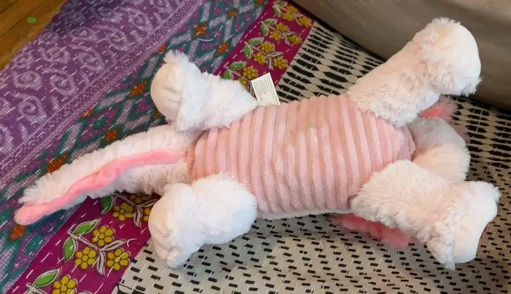 Girl Scout Cookies Stuffed Animal Lucy Axolotl Plush Pink Own Your Magic 16